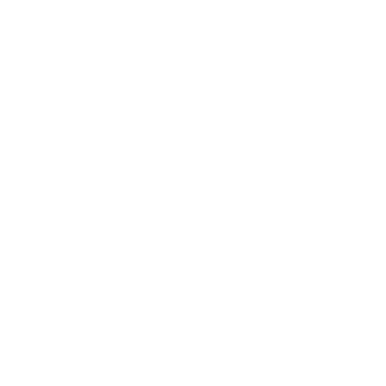 Branding Asset