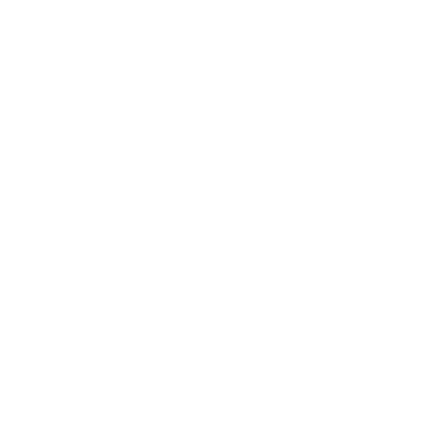 Branding Asset