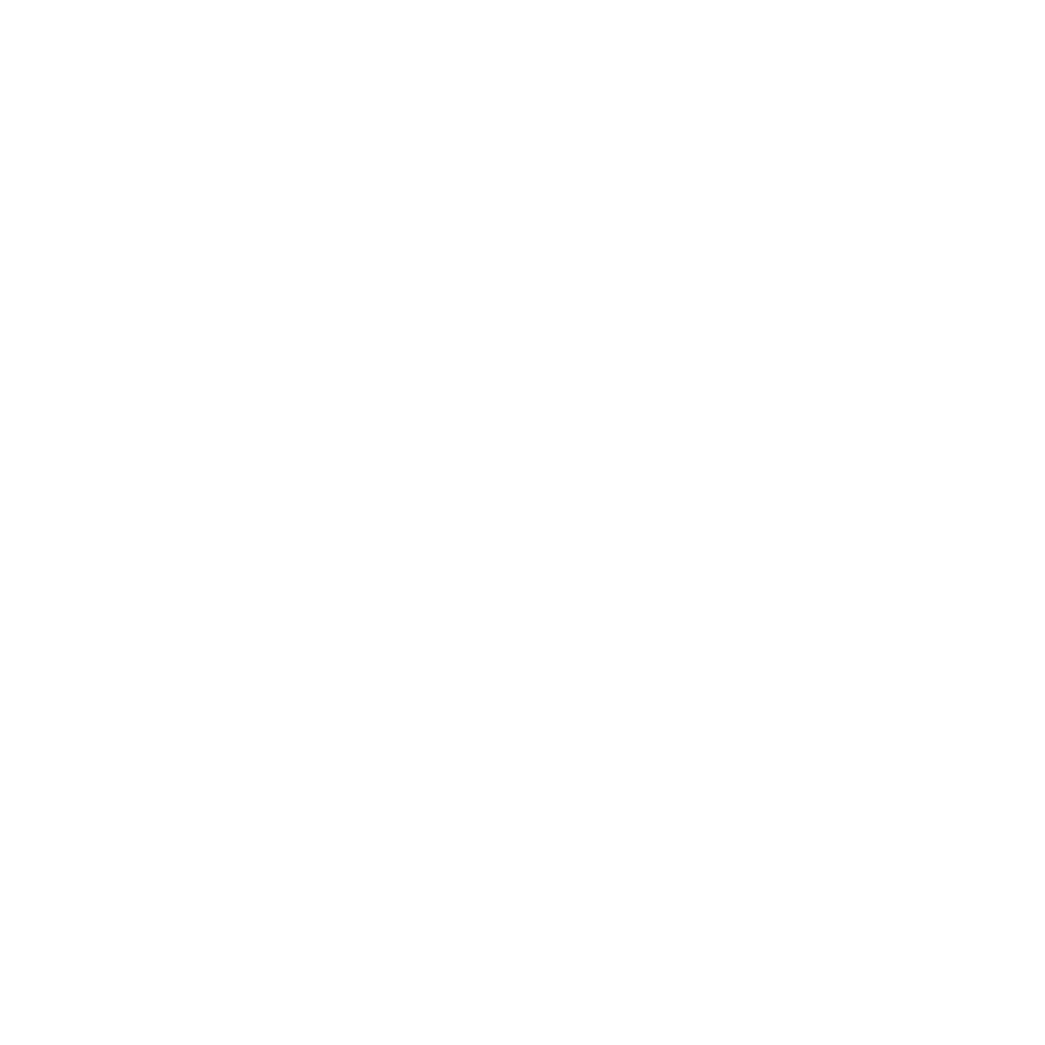 Branding Asset