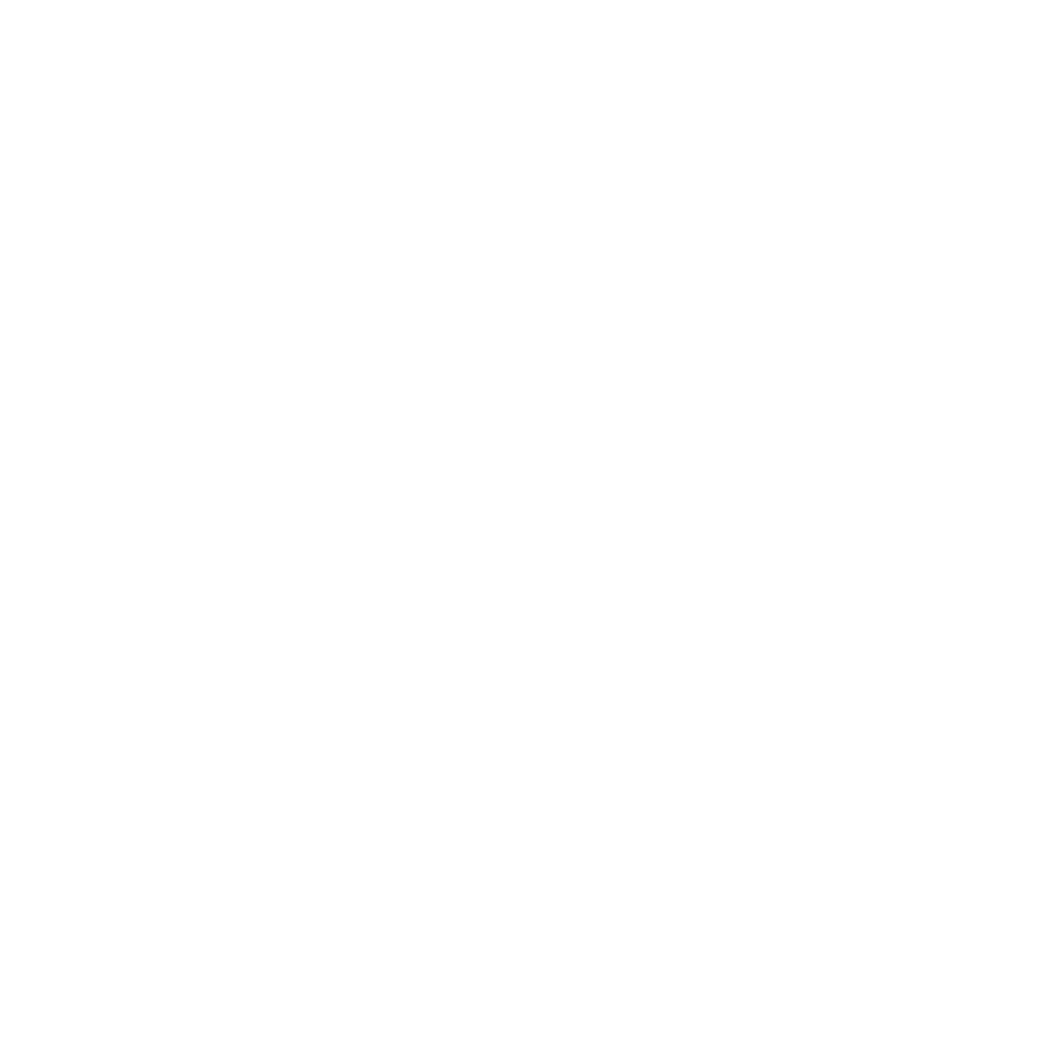 Branding Asset